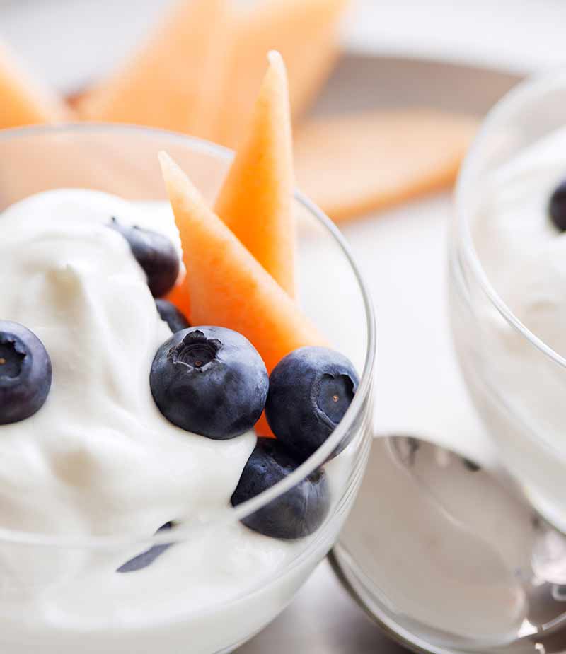 Las bondades de los probióticos