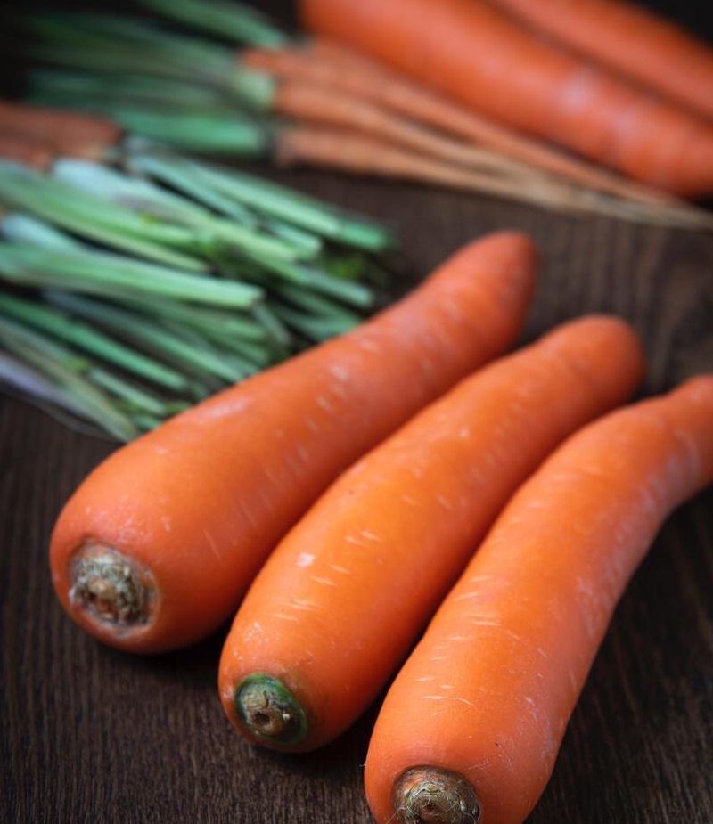 Formas creativas de agregar zanahorias a tu dieta