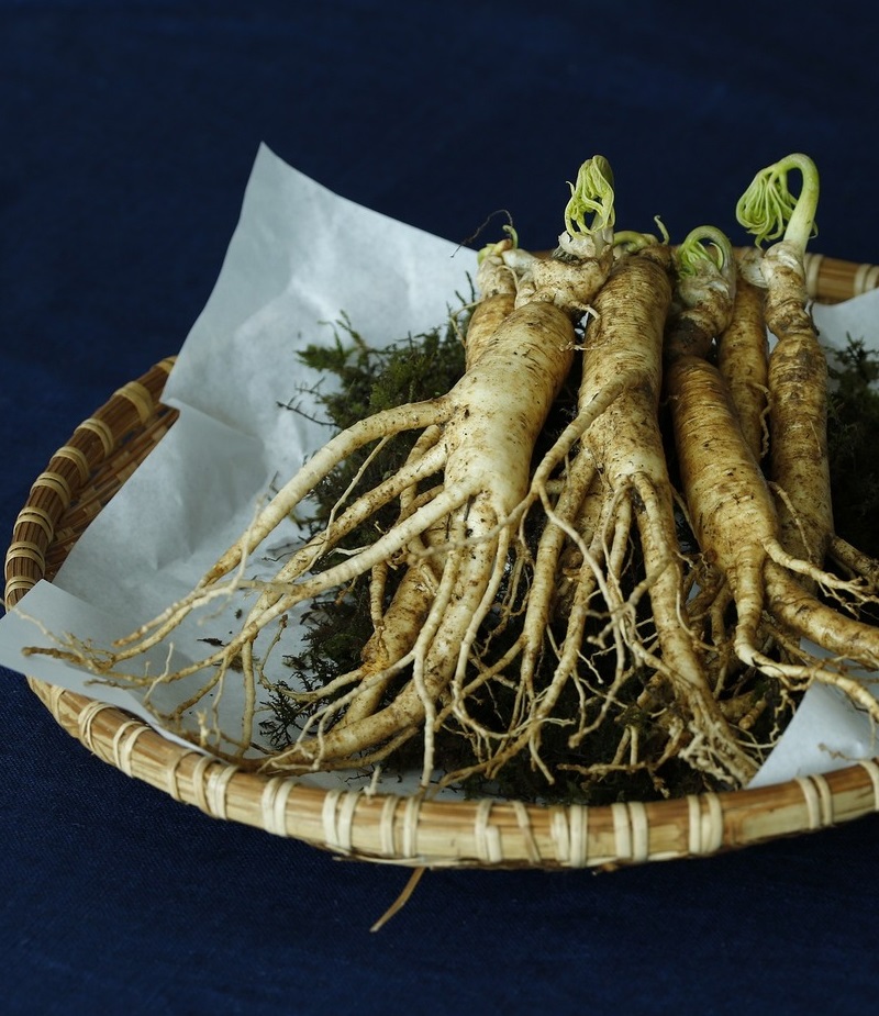 Alimentos adaptógenos para rendir al máximo