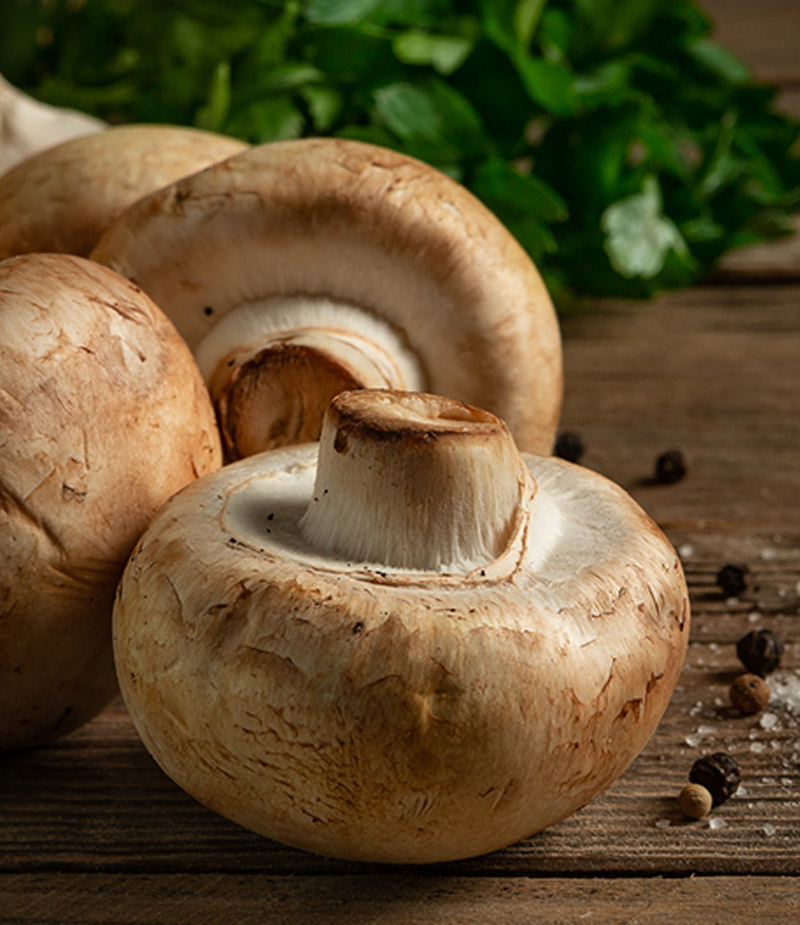 Ceviches vegetarianos