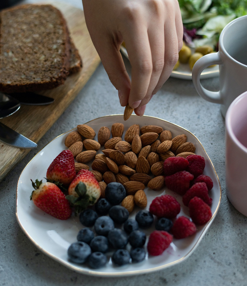 Propiedades y ventajas de la proteína vegetal