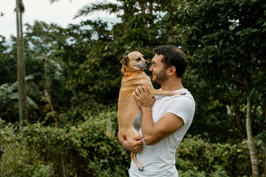 Síndrome del perro velcro: qué es y cómo ayudar a tu mascota