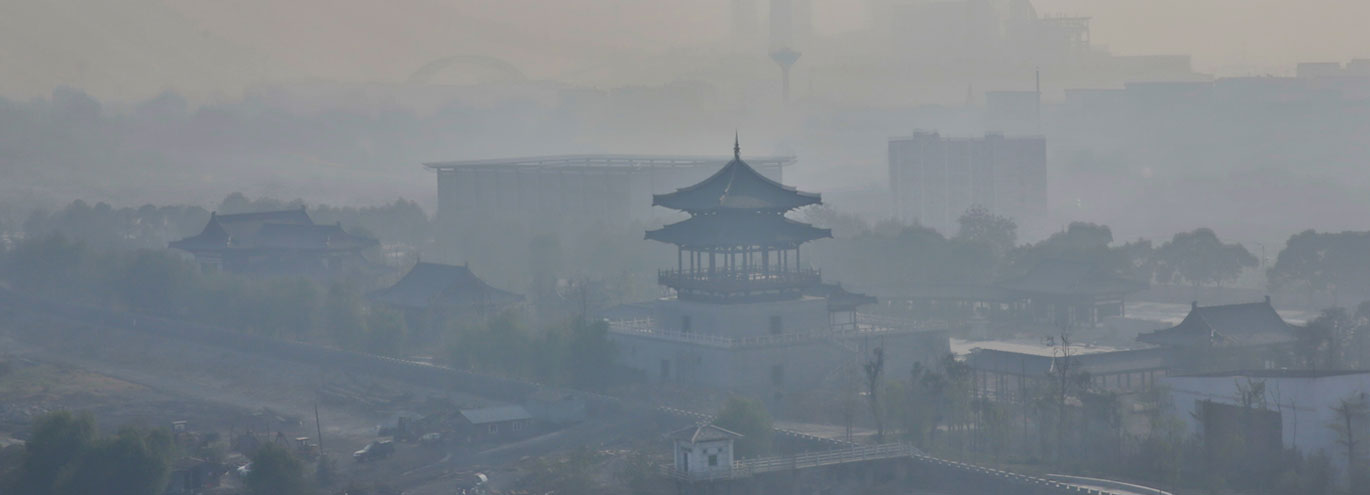 Día Mundial del Medio Ambiente 2019